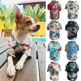 Dünnes Hemd für Hunde im Frühling und Sommer, Corgi-Kleidung, blaue Katzenkleidung