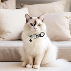 QR-Code-Halsband zur Positionsbestimmung, Anti-Verlust-Tracking-Funktion, Haustierhalsband